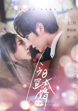 今日宜大婚（59集） 解说