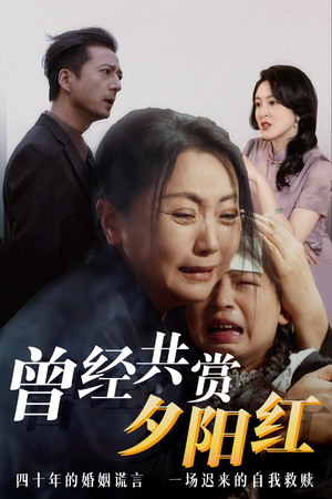 曾经共赏夕阳红 曾经共赏夕阳红 好看吗