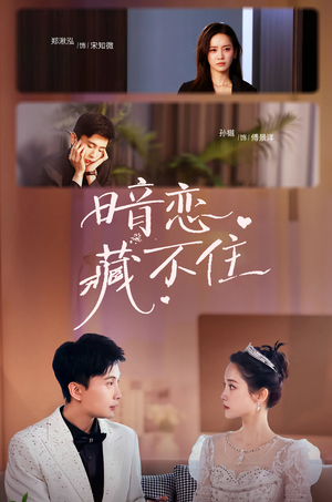 暗恋藏不住（25集）每天分享短剧