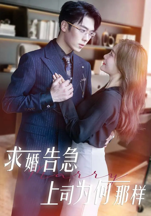 求婚告急上司为何那样（70集） 短剧免费看全集