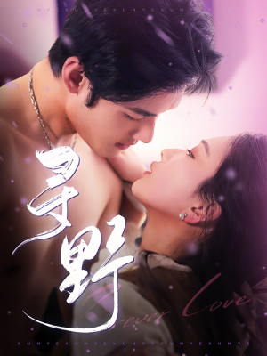 寻野（100集）全集