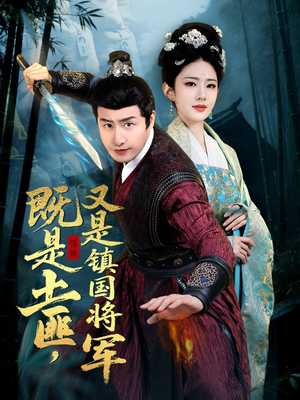 既是土匪，又是镇国将军（65集）一共多少集