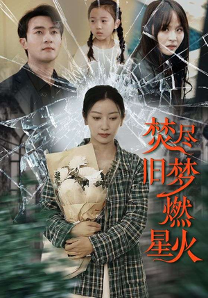 焚尽旧梦燃星火（71集）免费看全集