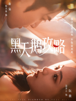 黑天鹅攻略（65集）精彩短剧追不停