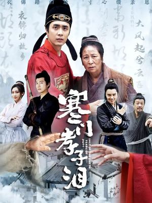 寒门孝子泪（31集）短剧太精彩