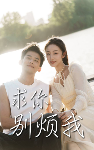 求你别烦我（60集）全集一次看完