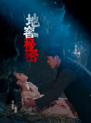 地窖的秘密（40集）在哪里看