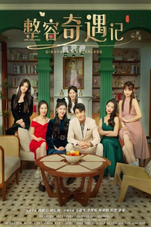 整容奇遇记(80集) 整容奇遇记(80集)1-102集