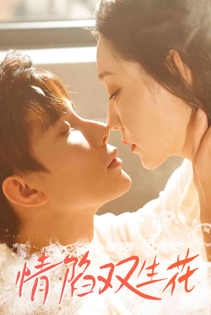 情陷双生花（30集）男频短剧推荐