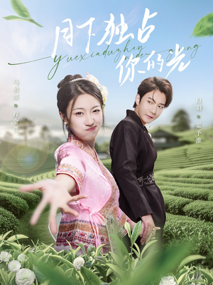 月下独占你的光（67集）红果短剧看全集