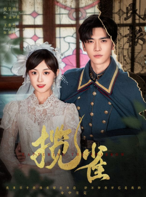 揽雀（61集）短剧