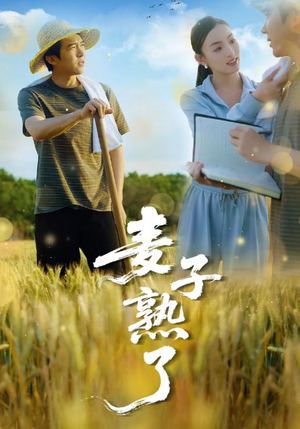 麦子熟了（52集）全集下载