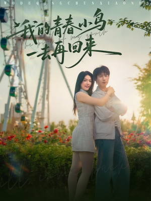 我的青春小鸟一去再回来（95集）短剧介绍