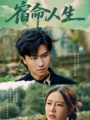 宿命人生（60集）在线观看全集