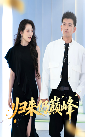 归来仍巅峰（61集）1-102集