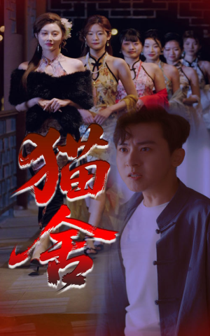 猫舍（34集）爱上了这部剧了