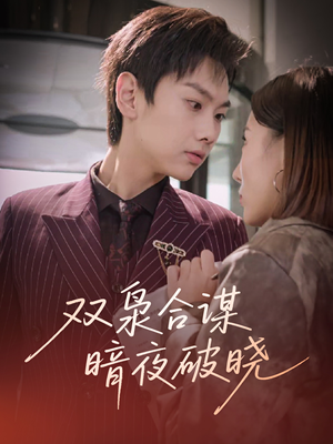 双枭合谋暗夜破晓（30集）全集完整版