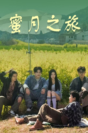 蜜月之旅（35集）短剧解说热门