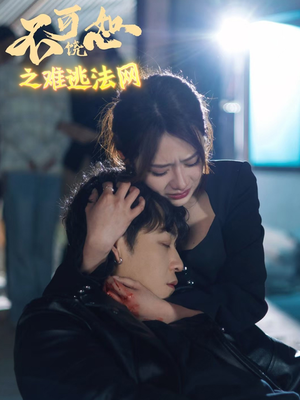 不可饶恕之难逃法网（20集）全网独播免费看