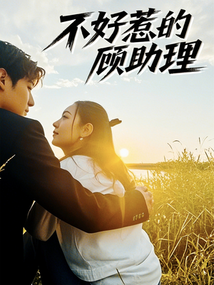 不好惹的顾助理(67集) 不好惹的顾助理(67集)免费短剧资源