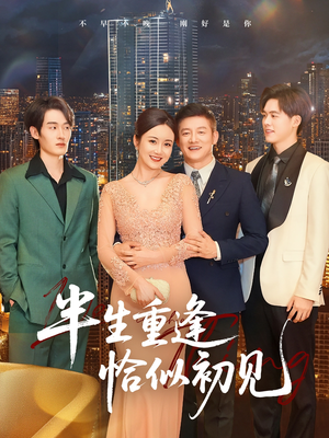 半生重逢恰似初见（90集）简直不要太好看