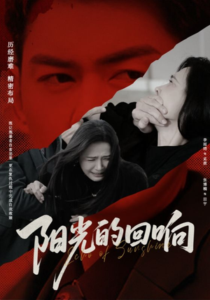 阳光的回响（50集）1-102集