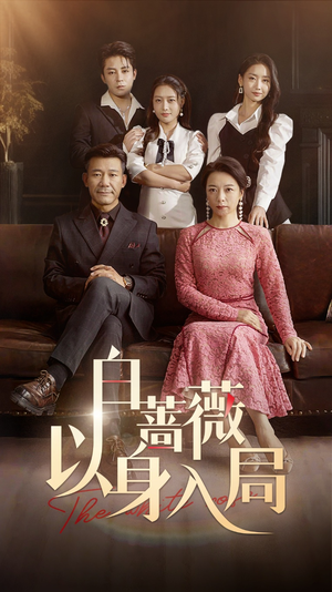 白蔷薇以身入局（82集）热门短剧又来了