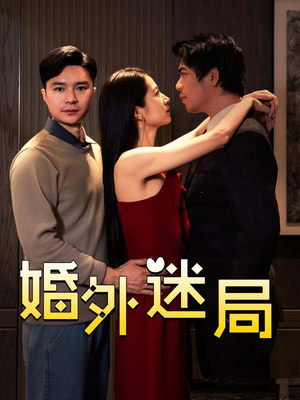 婚外迷局(28集) 婚外迷局(28集)第三季