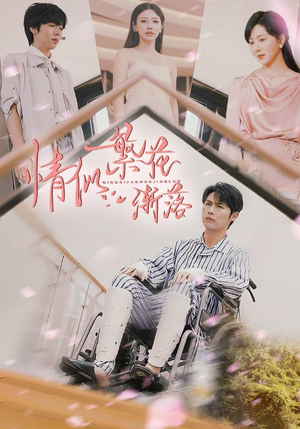 情似繁花渐落（62集）看过的人都说好