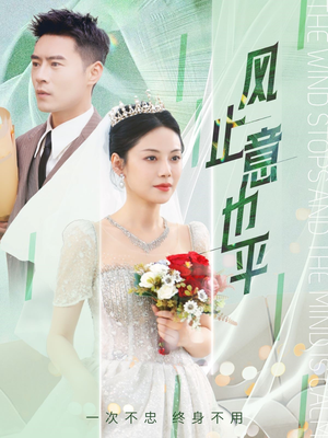 风止意也平（41集）全集完整版