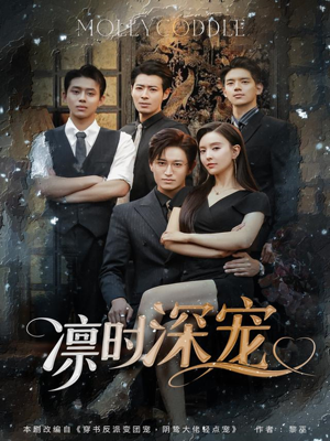 凛时深宠（80集）第一集