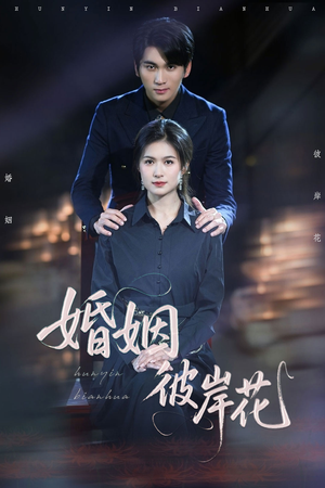 婚姻彼岸花（63集）短剧热门合集