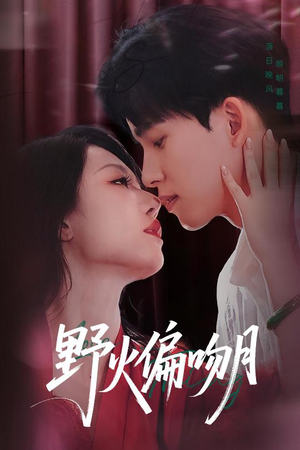 野火偏吻月（51集）演的怎么样