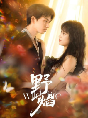 野焰（60集）夸克网盘在线看