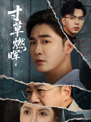 寸草燃晖（70集）免费看短剧全集