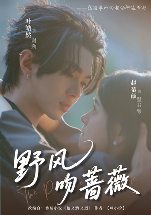 野风吻蔷薇（78集）免费观看完整版