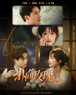 扑向玫瑰（77集）短剧视频分享