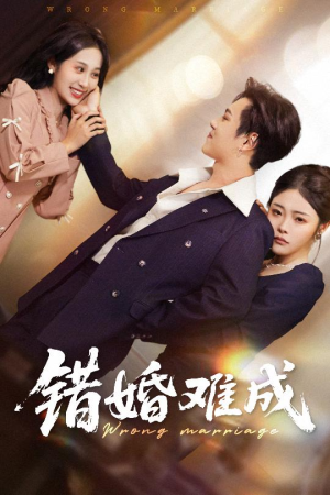 错婚难成（45集）这短剧太好看了