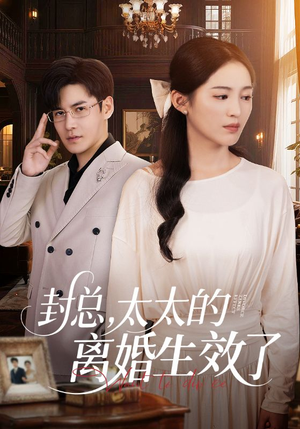 封总，太太的离婚生效了（82集）火爆短剧来袭
