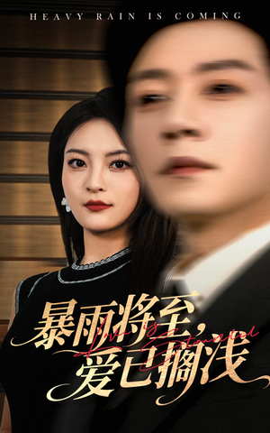 暴雨将至爱已搁浅（50集）全剧免费观看