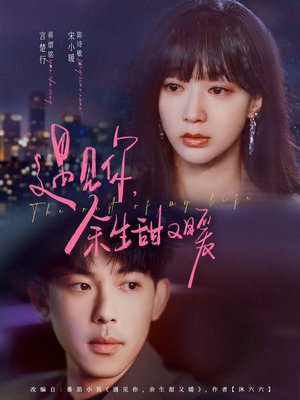 遇见你余生甜又暖（70集）短剧追到爽