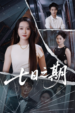 七日之期(90集) 七日之期(90集)女主角是谁