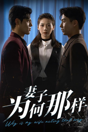 妻子为何那样（60集）追短剧看全集