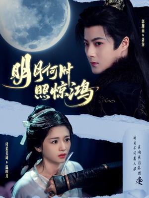 明月何时照惊鸿（80集）太好看了短剧