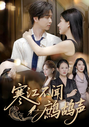 寒江不闻鹧鸪声（55集）精彩的短剧