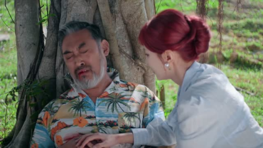 千金一掷（26集）最新上映免费看