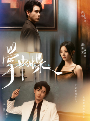 掌中蝶（84集）网上可以看吗