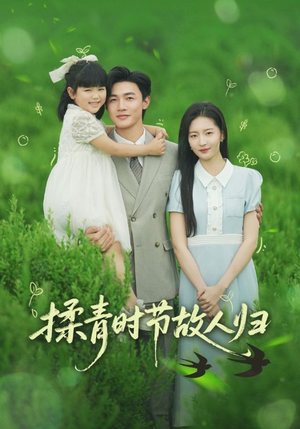 揉青时节故人归（60集）亿万短剧抢先看