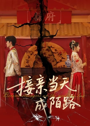 接亲当天成陌路（50集）短剧中追到爽