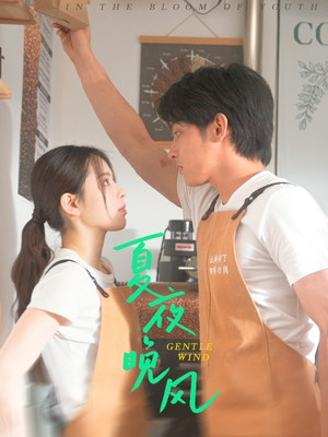 夏夜晚风（12集）直接追到结尾